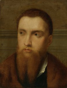 Portret van een bebaarde man, hoofd en schouders, in een interieur door Paris Bordone